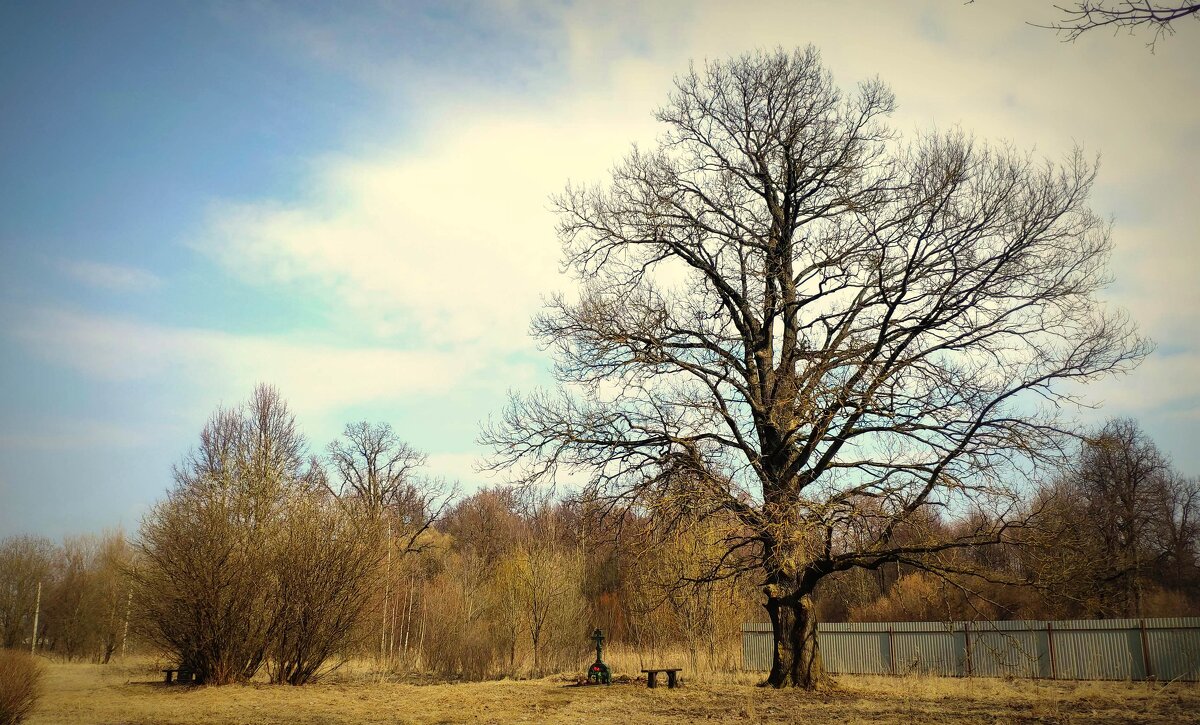 *** - Любовь *** - Любовь