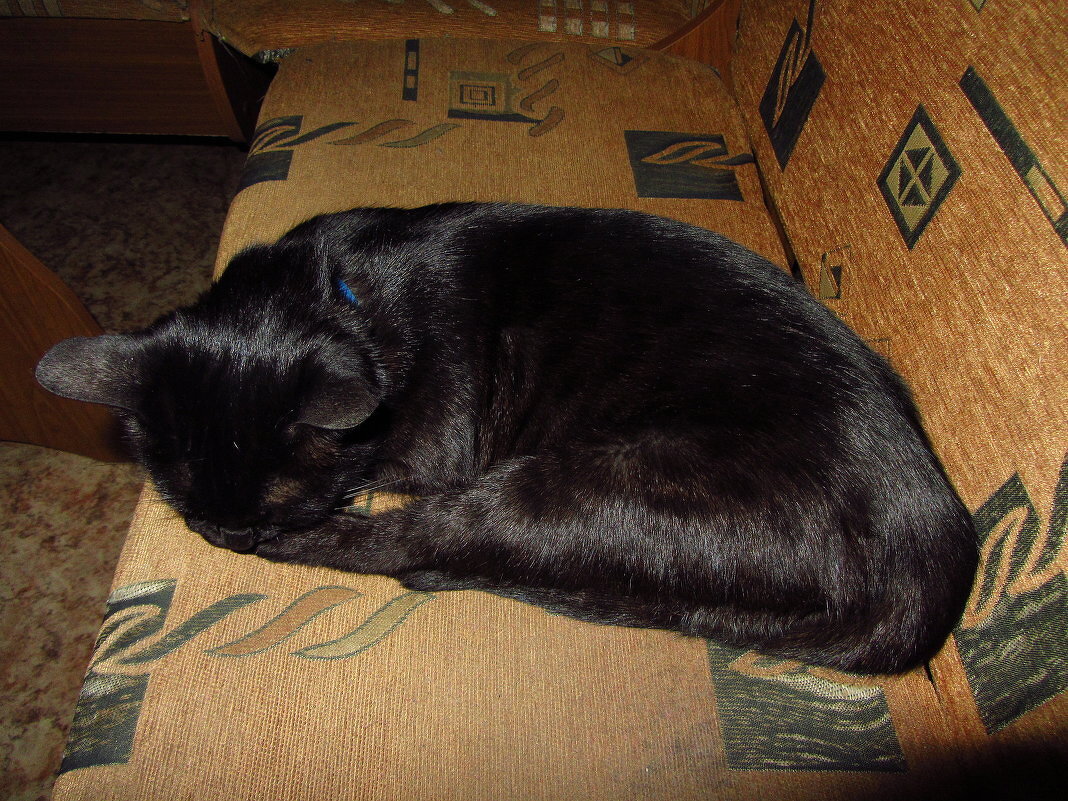 Фотография - чтобы лучше помнилось - Андрей Лукьянов Фотография - чтобы лучше помнилось - Андрей Лукьянов