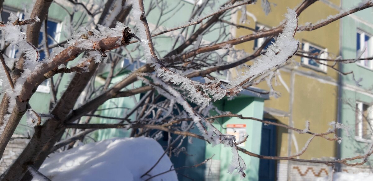 Весенние наряды Заполярья - Ольга Весенние наряды Заполярья - Ольга