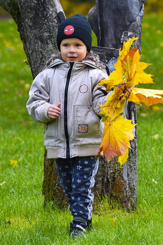 Осенний букет - Валерий Пославский Осенний букет - Валерий Пославский