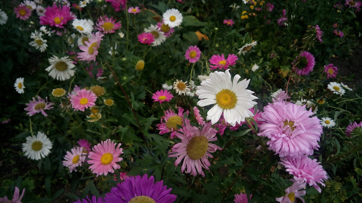 ,,, - Сергей Тимоновский