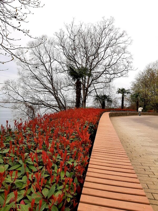 Фотиния - Tata Wolf