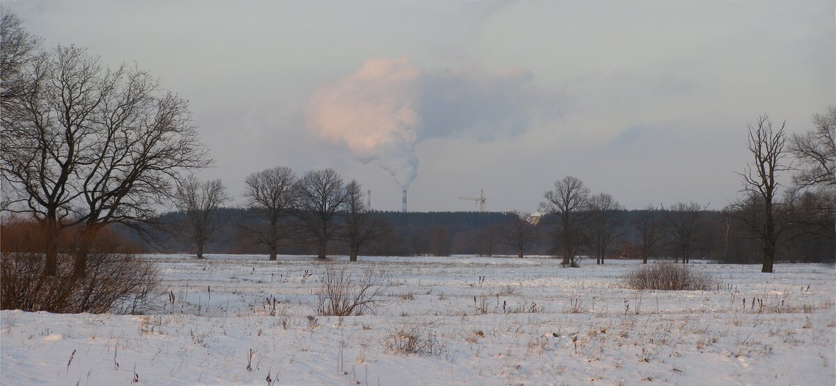 Панорама. - Николай ntv