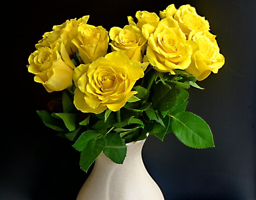 Жёлтые розы - Елена Куприянова Жёлтые розы - Елена Куприянова