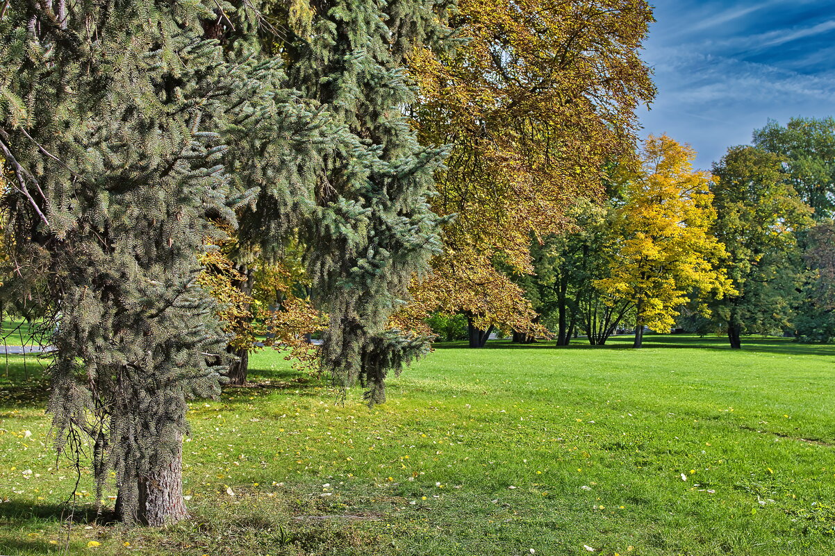 Осенний парк в Праге - Sergey Grim Осенний парк в Праге - Sergey Grim