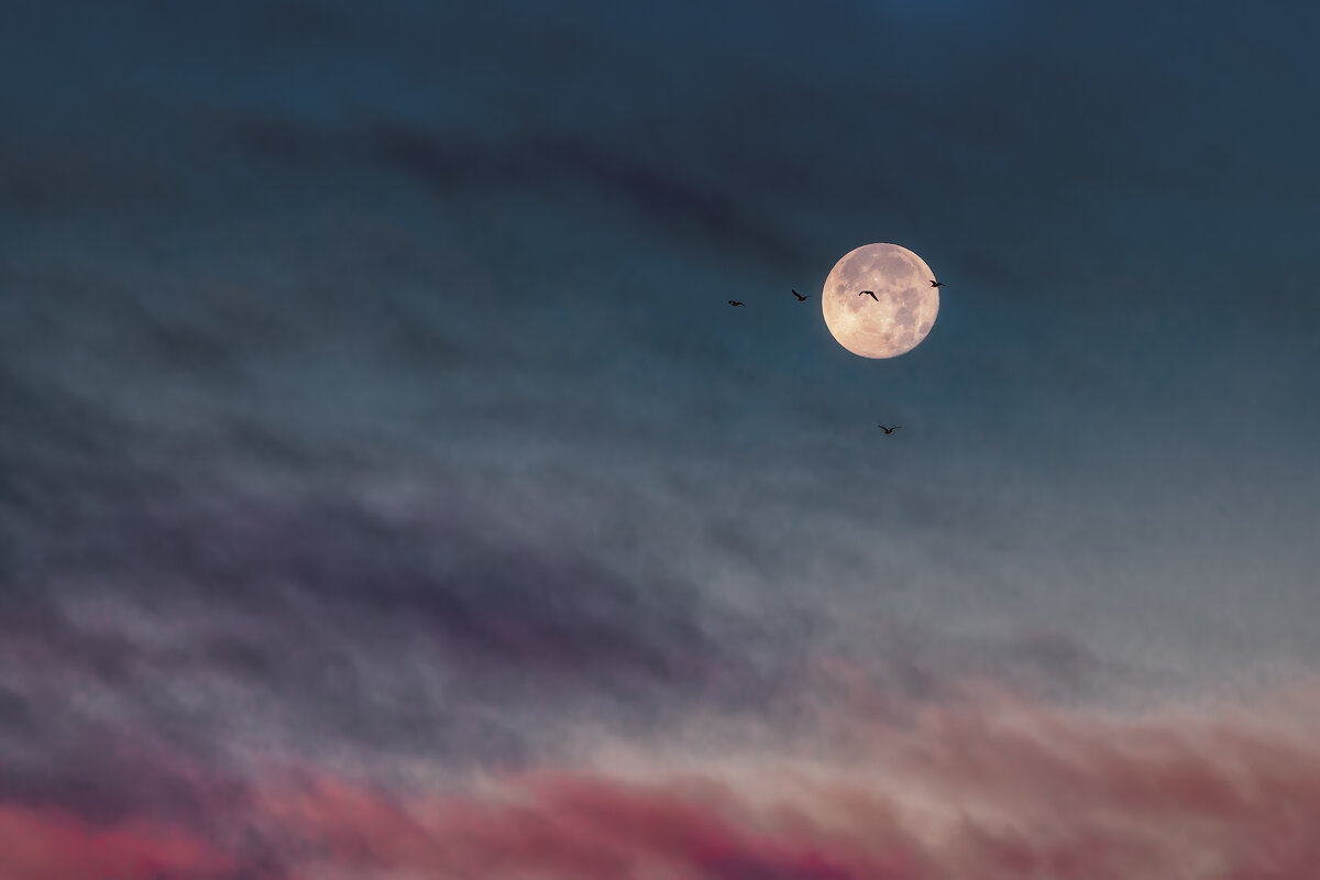 Полнолуние - Владимир Колесников