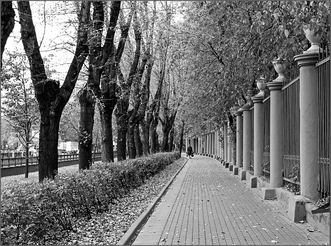 Городская перспектива - Наталья Rosenwasser Городская перспектива - Наталья Rosenwasser