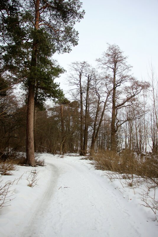 Зеленогорск - Наталья Герасимова