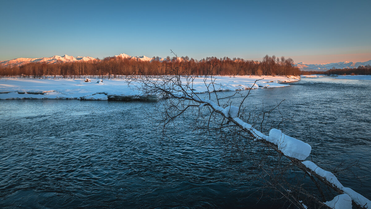 ... - Жора Житников ... - Жора Житников