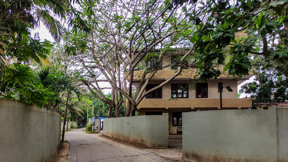 Мирисса - Dmitry i Mary S