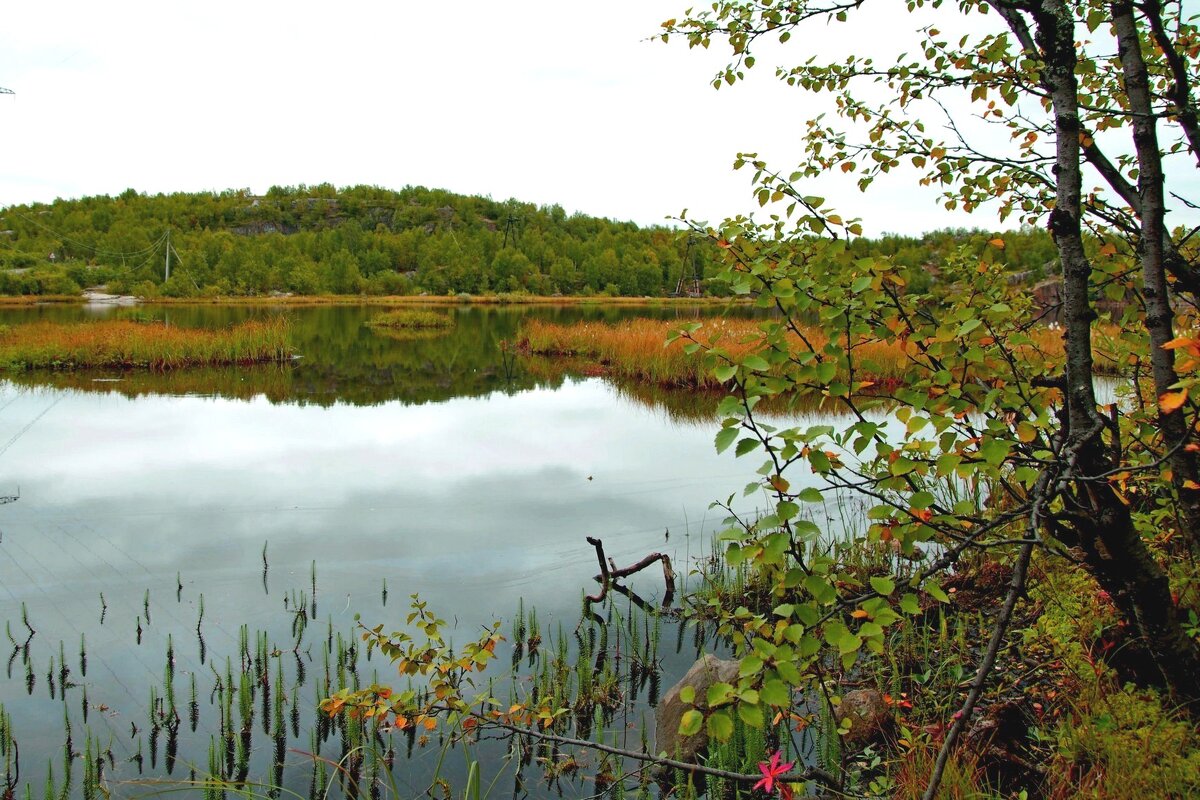 На озере - Сергей Швечков