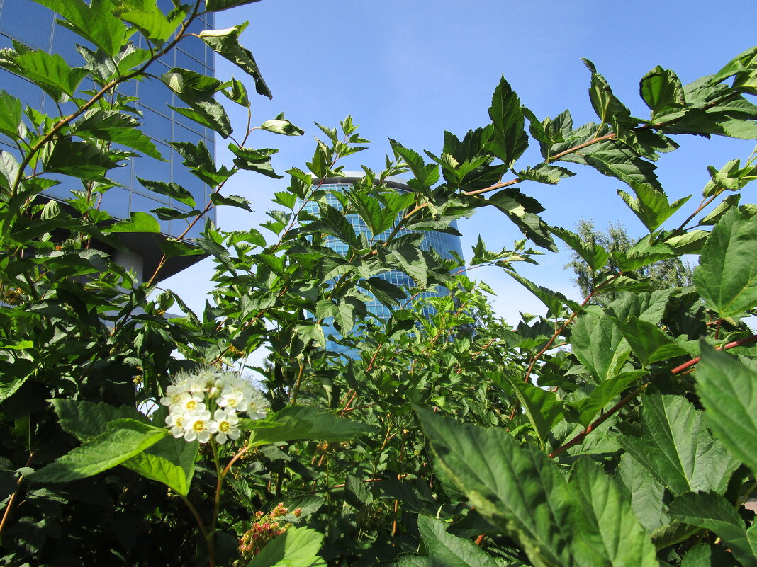 ПРО Екатеринбург - Елена Шаламова