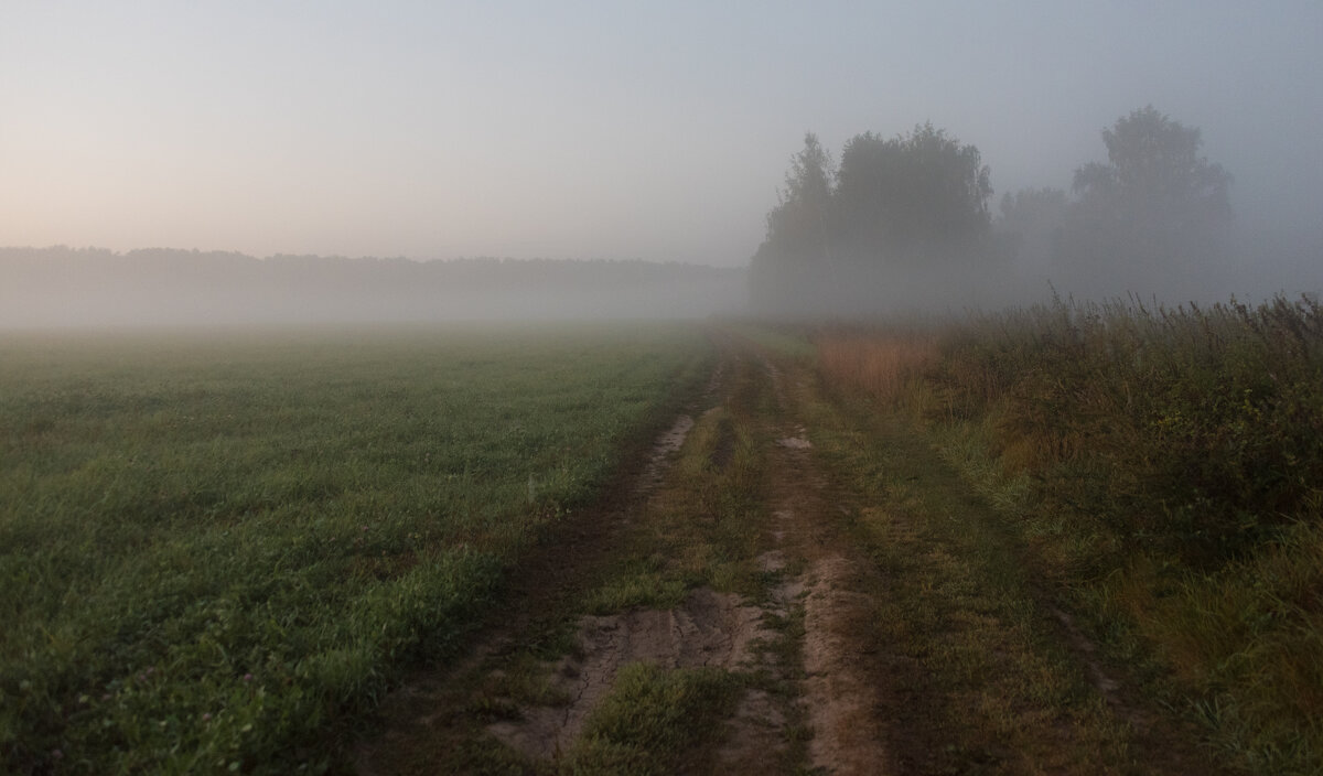 *** - Владимир Безбородов *** - Владимир Безбородов