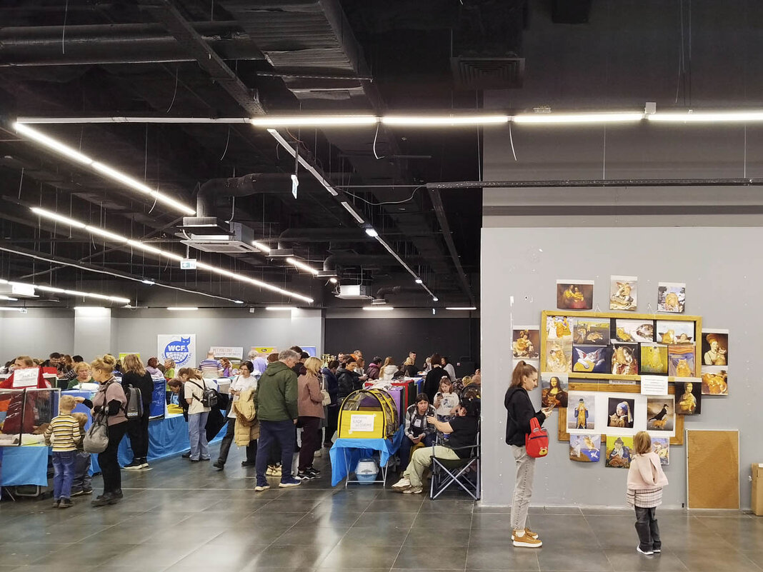 ГАГАРИНСКИЕ_КОШКИ_2 - Сергей Янович Микк