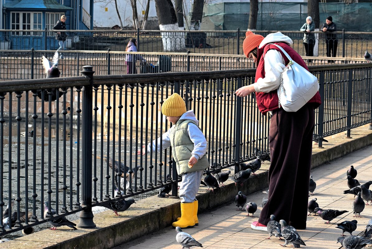 Жёлтые сапожки птиц покормили и дальше побежали... - Татьяна Помогалова Жёлтые сапожки птиц покормили и дальше побежали... - Татьяна Помогалова