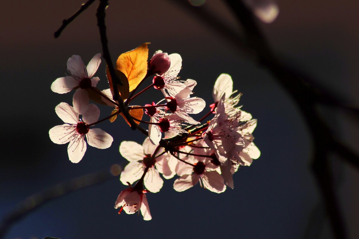 Доброе утро - Юрий. Шмаков Доброе утро - Юрий. Шмаков