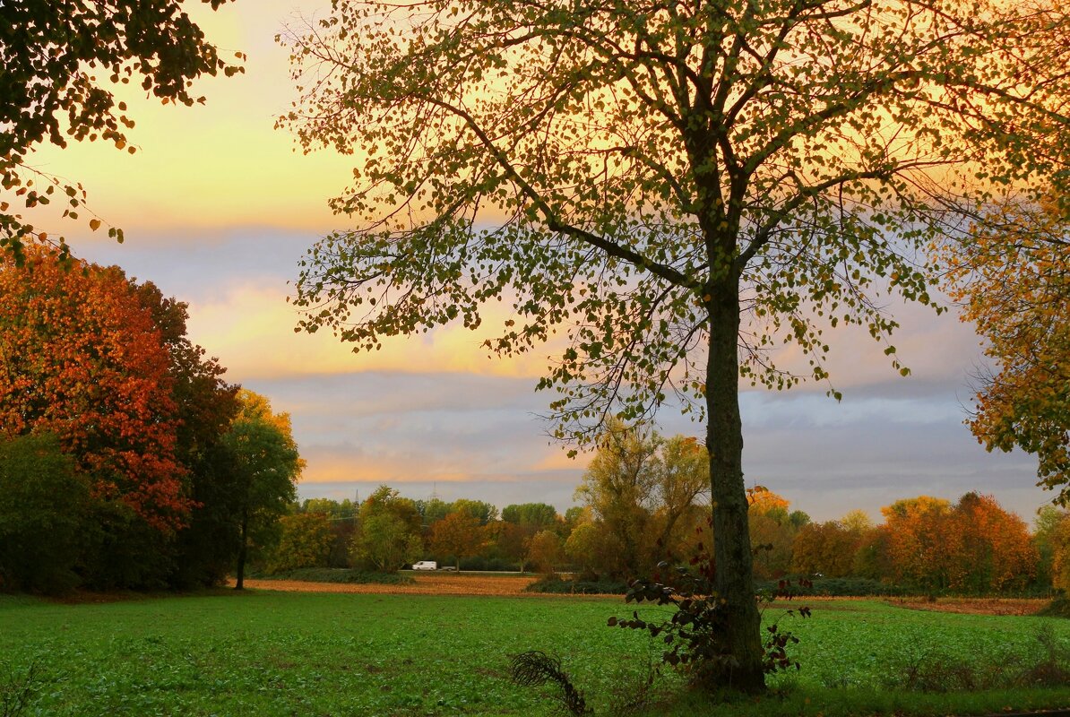 Осенние облака с Сахары - Юрий. Шмаков