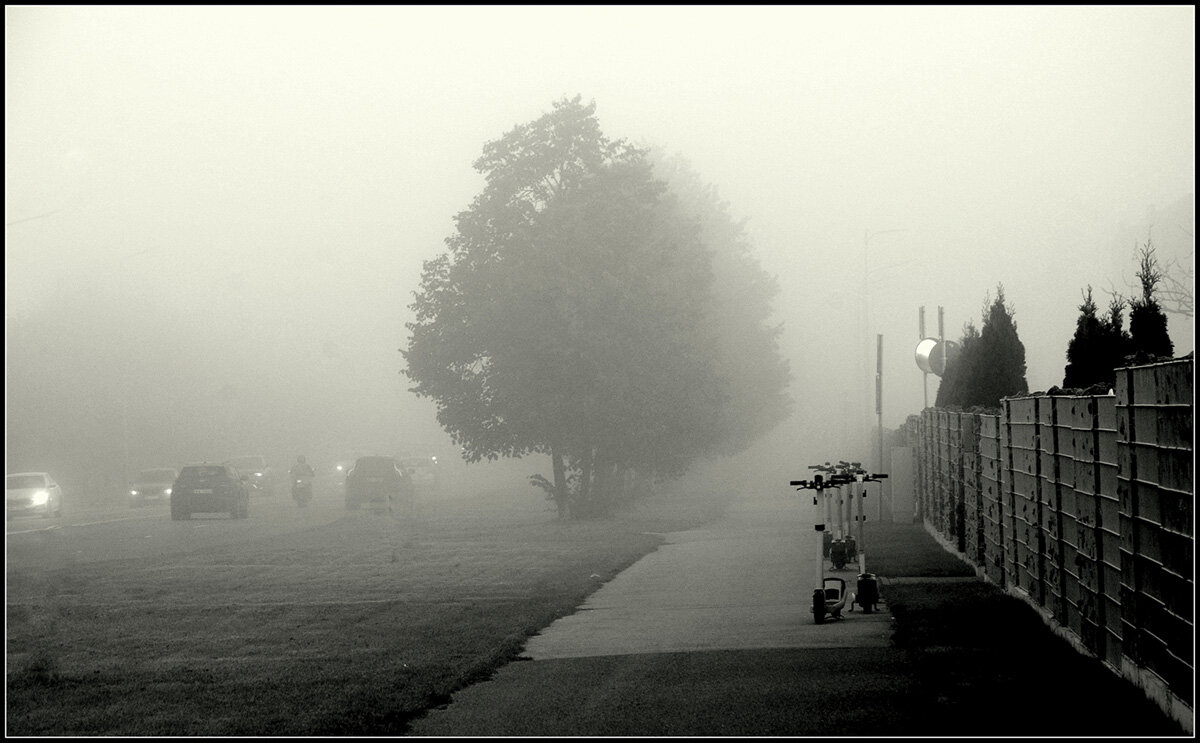 Утро - Aleksandr Gal