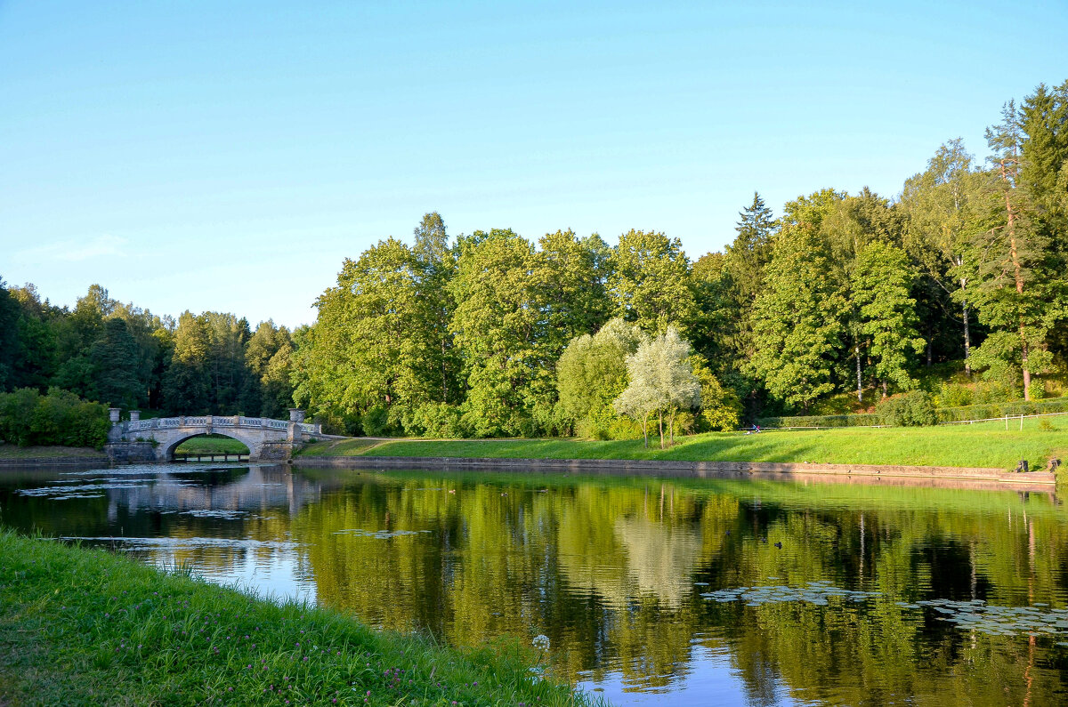 В Павловске - Алексей Просвиряков В Павловске - Алексей Просвиряков
