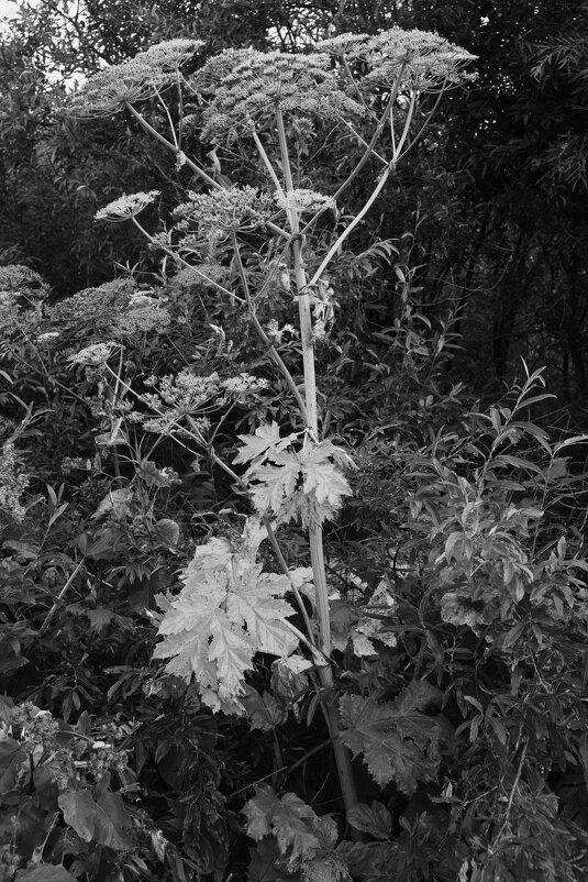 Название отсутствует - Денис Безногов