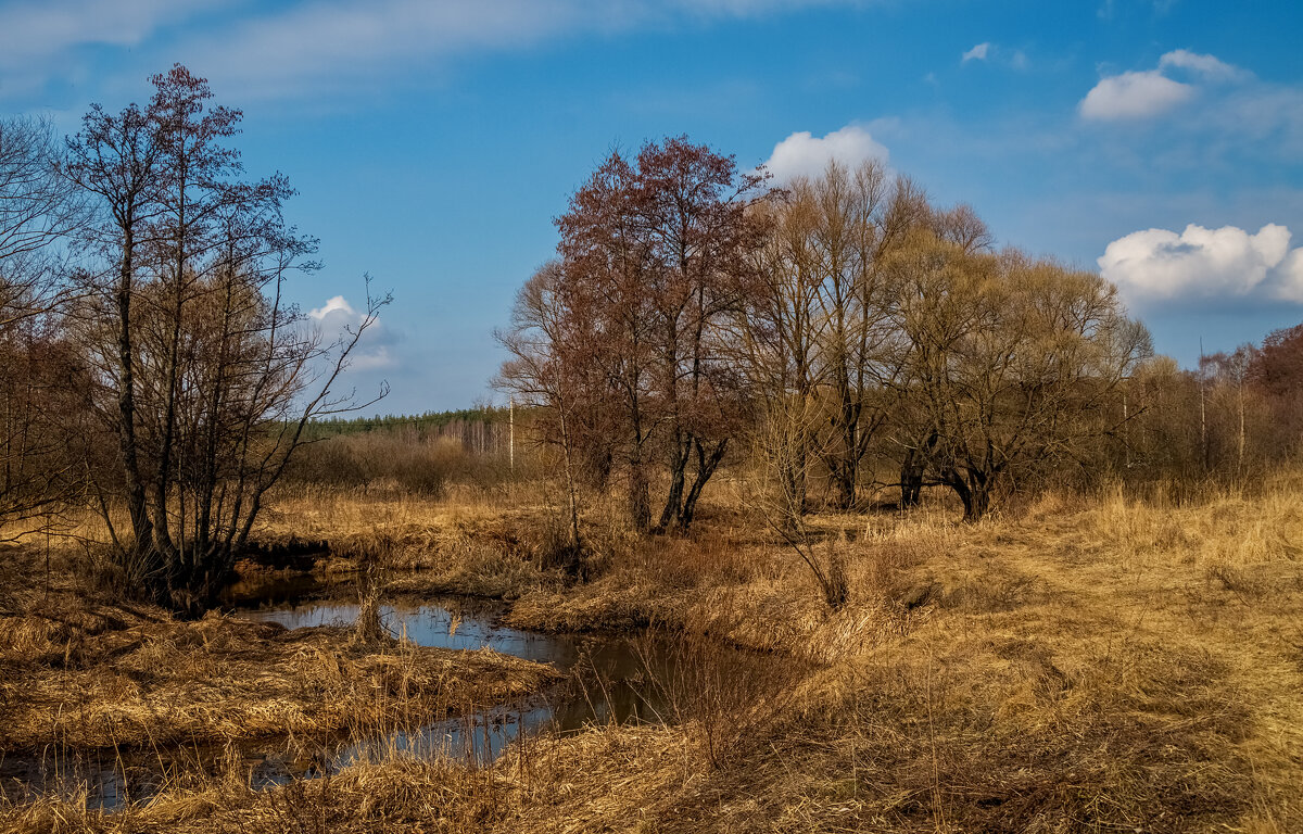 Весна набирает обороты - Андрей Дворников