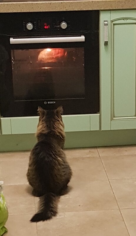 ждет своего часа - Владимир 