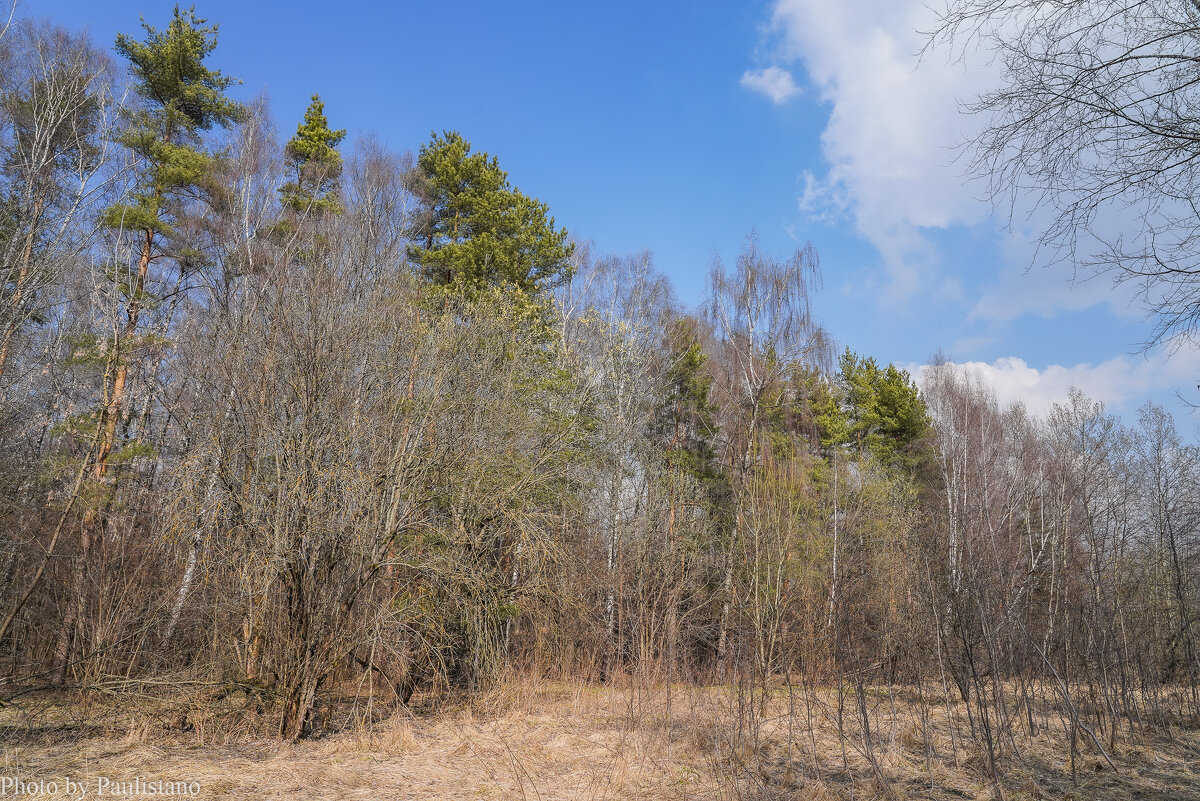 Конец марта... - Владимир Жданов Конец марта... - Владимир Жданов