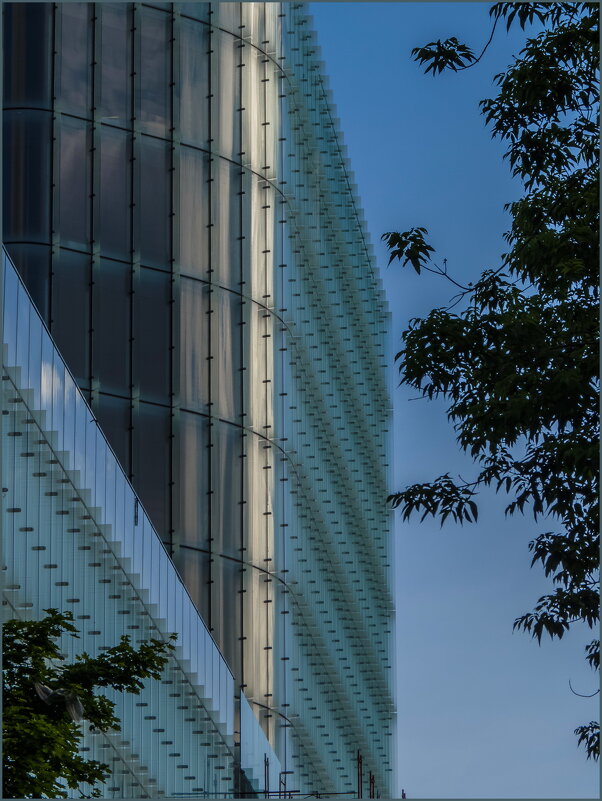 Декор - Наталья Rosenwasser