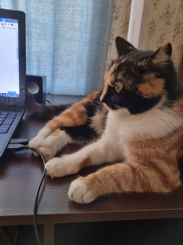 Внезапное озарение :) - Наталья Внезапное озарение :) - Наталья