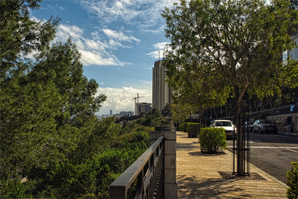 Хайфа ,2025г Краски Израиля - ujgcvbif 