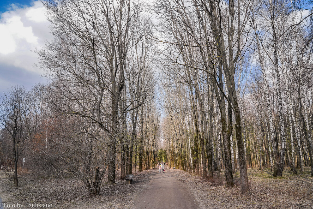 Конец марта... - Владимир Жданов Конец марта... - Владимир Жданов