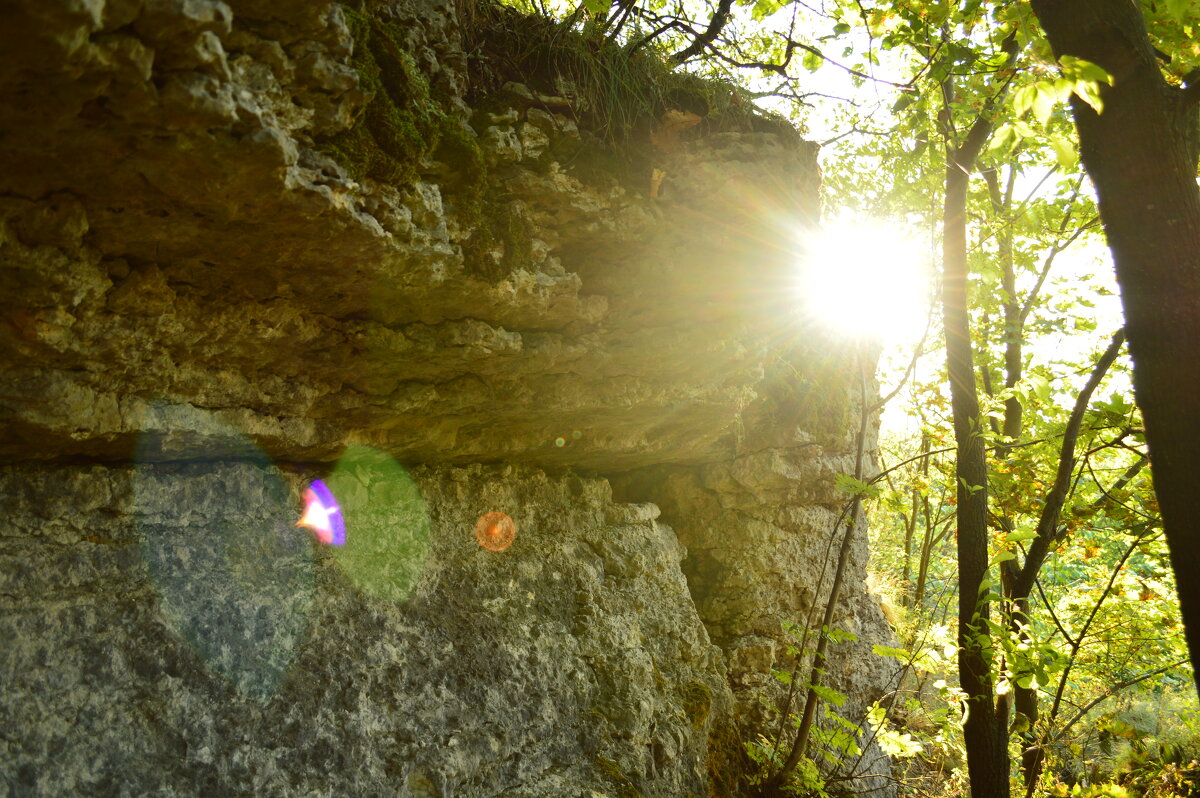 яркий солнечный свет внёс в кадр впечатление - Виктор Скаков яркий солнечный свет внёс в кадр впечатление - Виктор Скаков