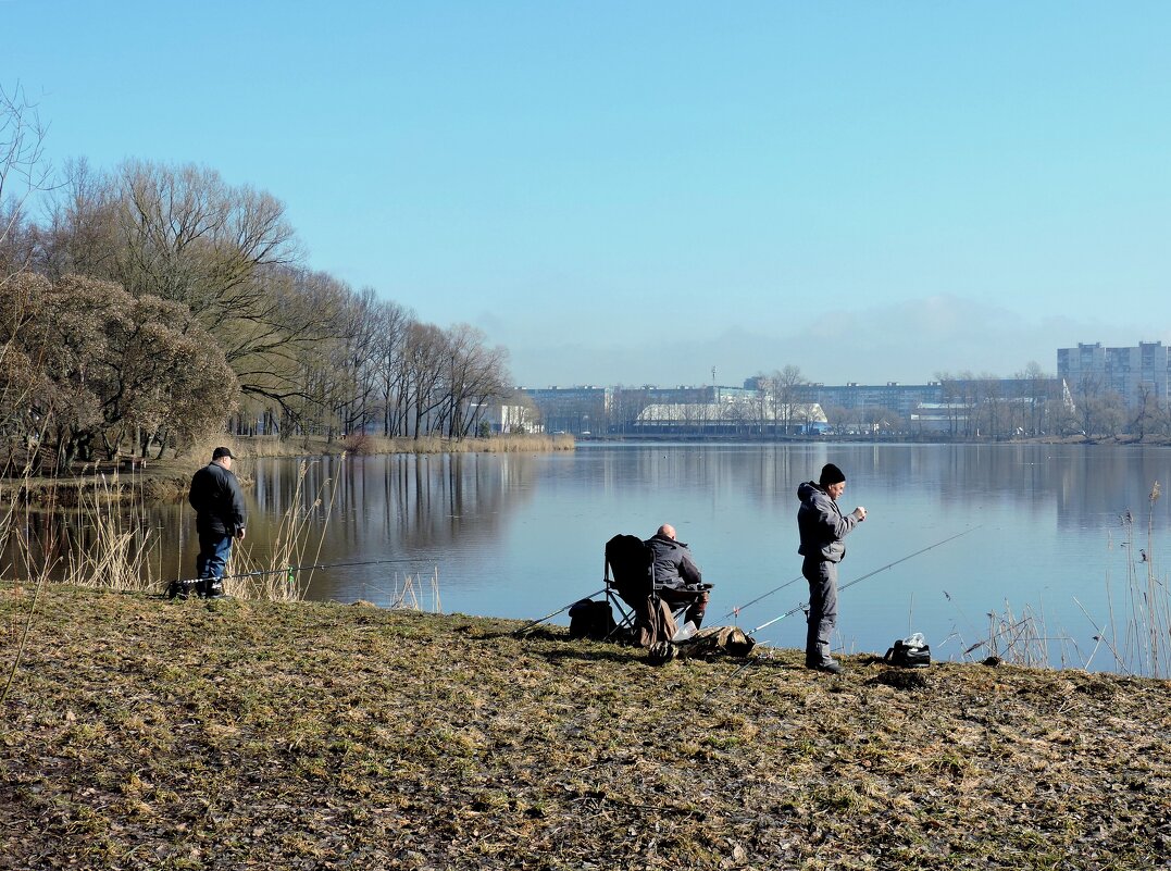 Рыбалка на реке Ижоре - Мария Васильева Рыбалка на реке Ижоре - Мария Васильева