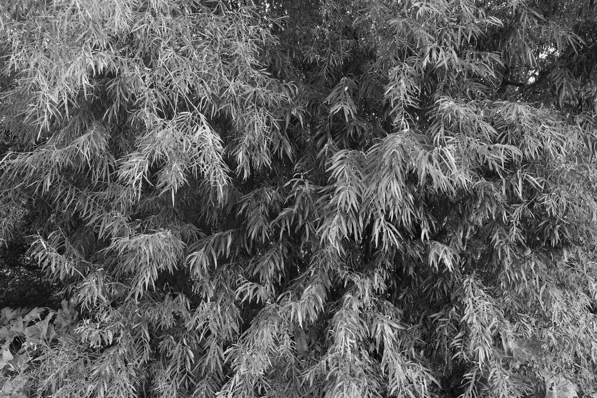 Название отсутствует - Денис Безногов