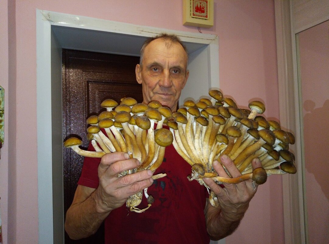 ,,, - Сергей Тимоновский ,,, - Сергей Тимоновский