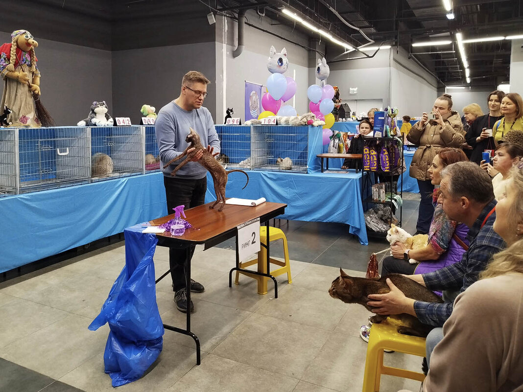 ГАГАРИНСКИЕ_КОШКИ_7 - Сергей Янович Микк ГАГАРИНСКИЕ_КОШКИ_7 - Сергей Янович Микк