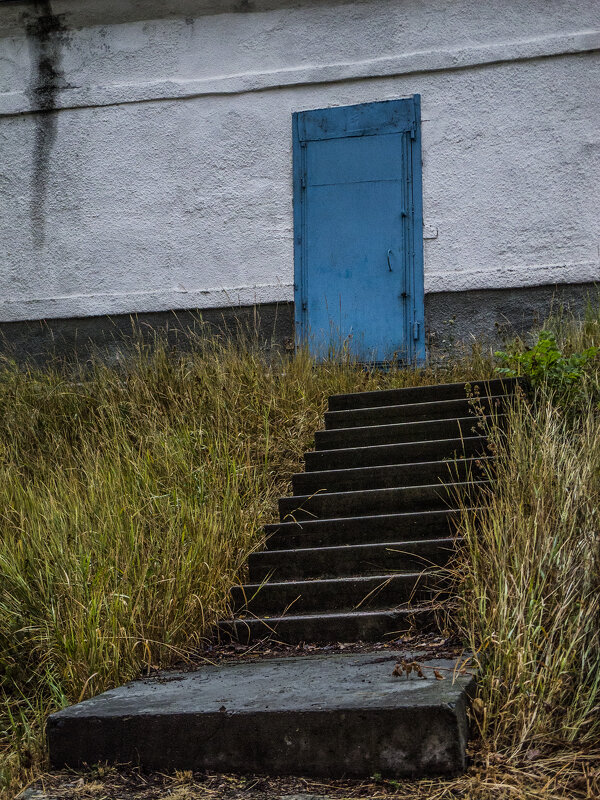 Классическая железобетонная лестница, ведущая сквозь выцвевшие травы к голубой двери - Коля Лукашов Классическая железобетонная лестница, ведущая сквозь выцвевшие травы к голубой двери - Коля Лукашов