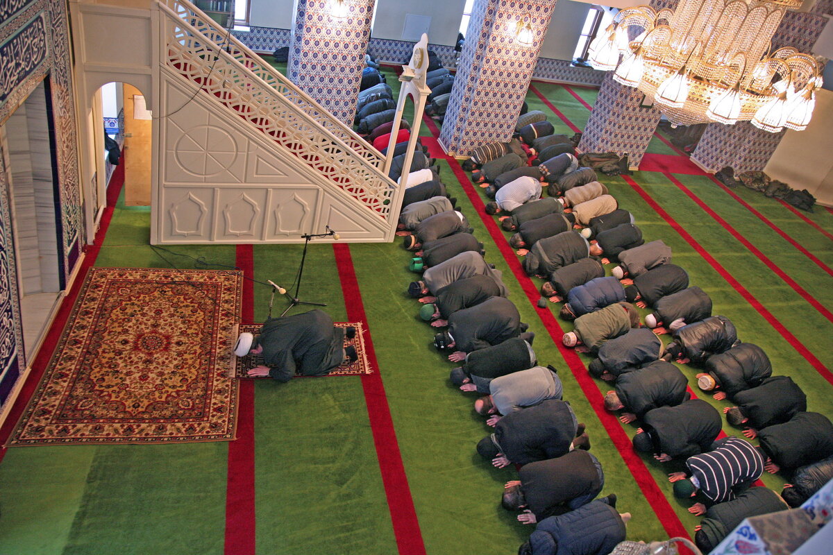 30 марта - Михаил Бибичков 30 марта - Михаил Бибичков