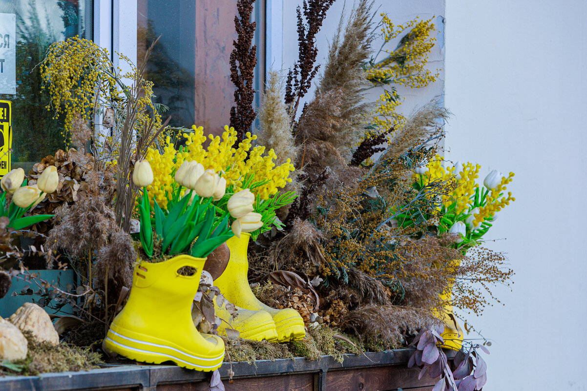 Чей туфля? - Aleksey Zaikin Чей туфля? - Aleksey Zaikin