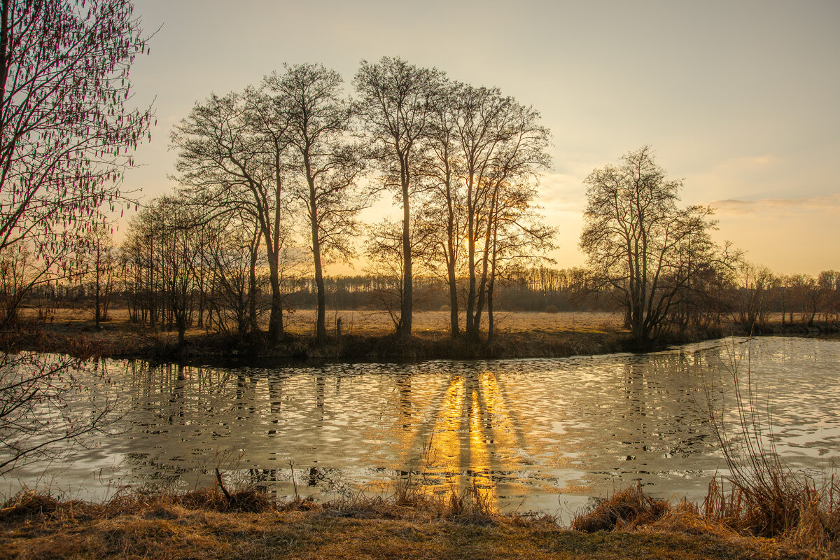 отражение - Алексей Чигвинцев
