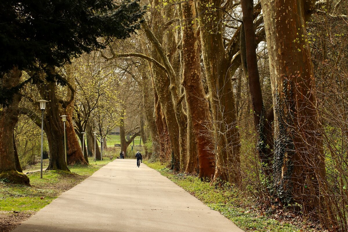 Мартовская аллея - Юрий. Шмаков