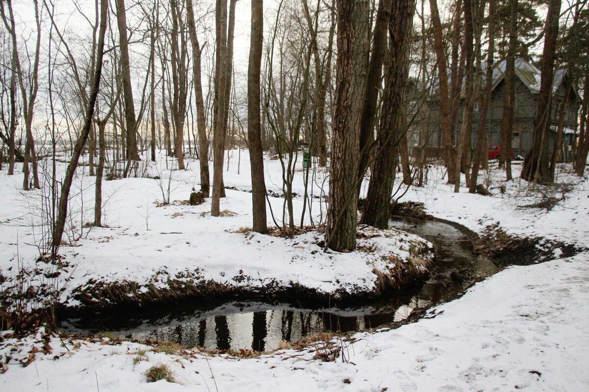 Зеленогорск - Наталья Герасимова