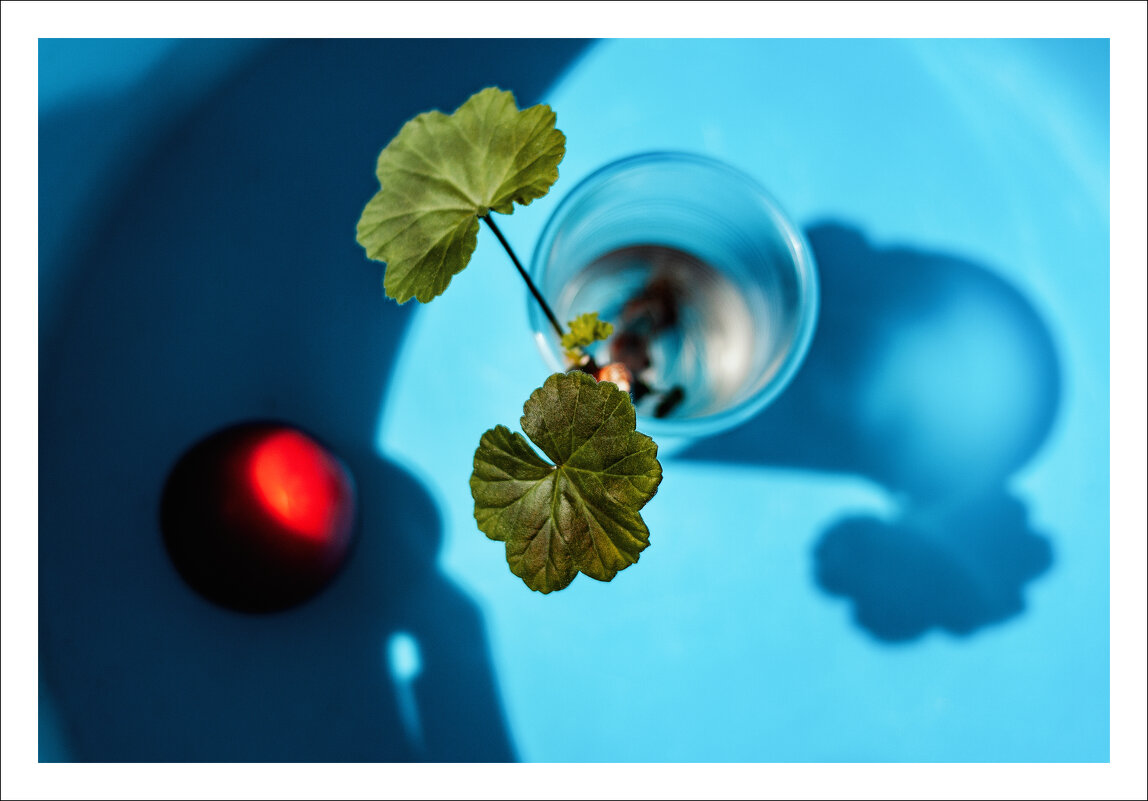 Весенний натюрморт. - Елена Демидова 