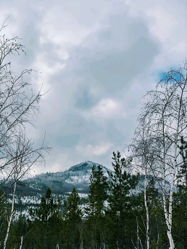 Зима в горах - Георгиевич Зима в горах - Георгиевич