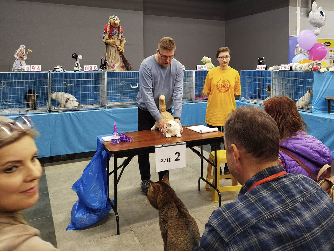 ГАГАРИНСКИЕ_КОШКИ_13 - Сергей Янович Микк