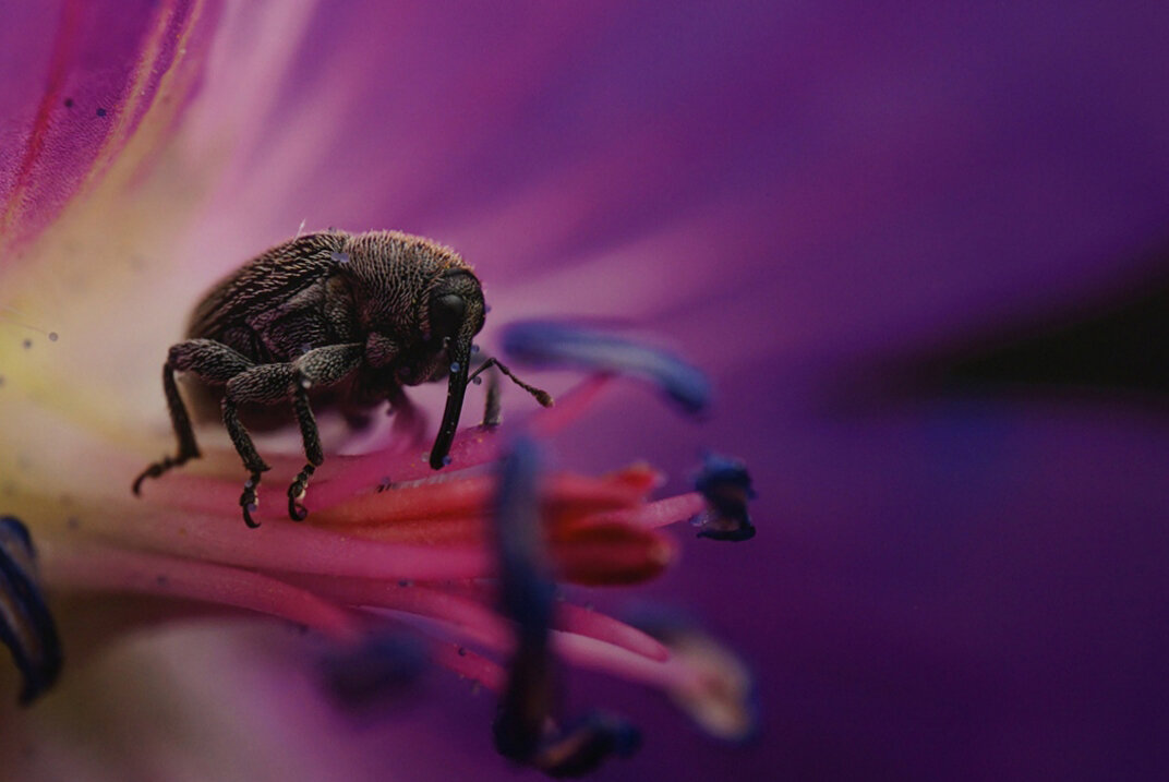 "Относительность" - Ольга 