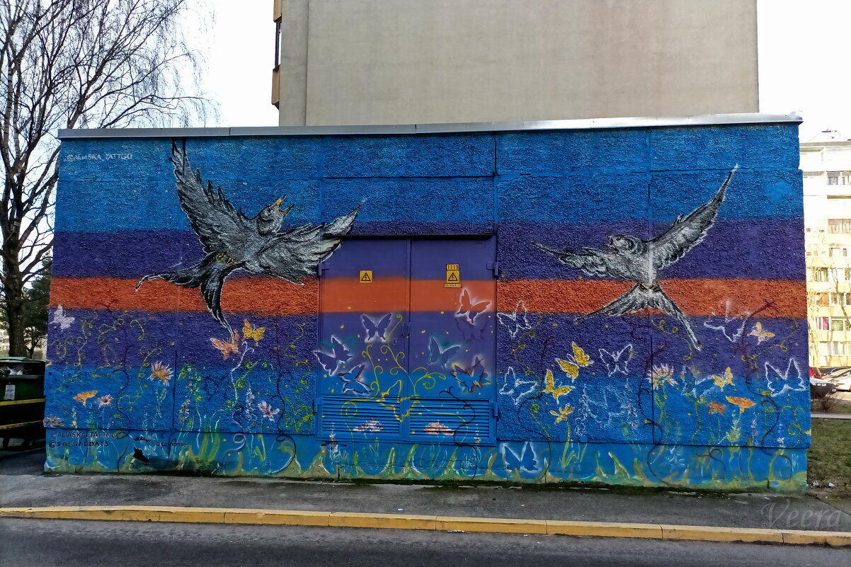 Уличная стена - Veera V Уличная стена - Veera V