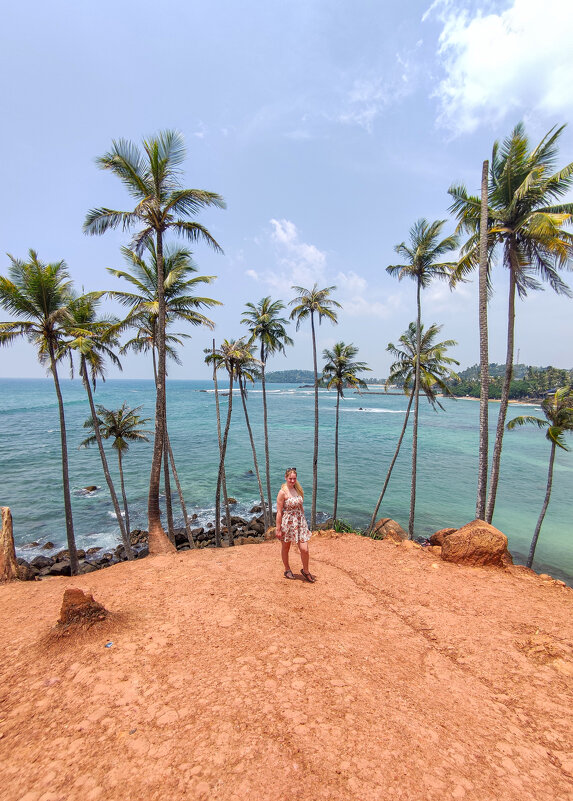 Красный мыс с кокосовыми пальмами - Dmitry i Mary S Красный мыс с кокосовыми пальмами - Dmitry i Mary S
