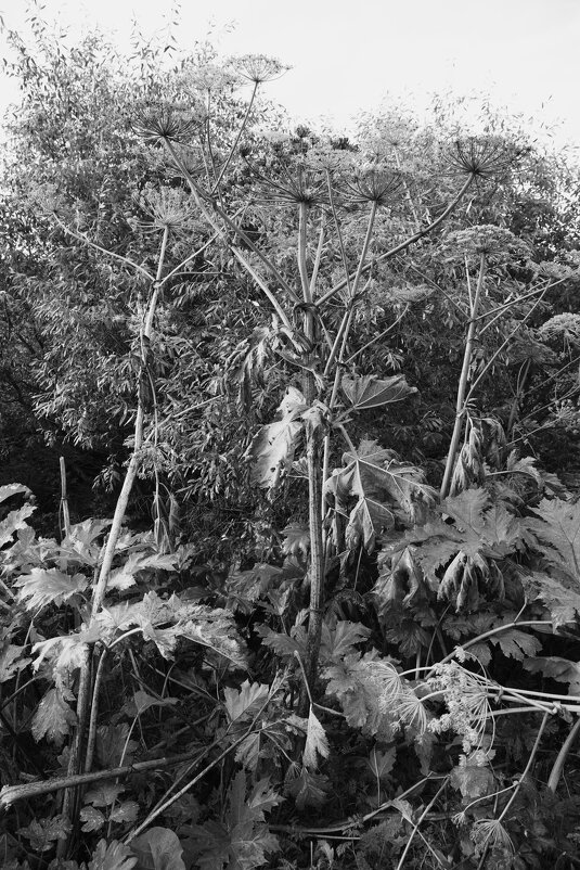 Название отсутствует - Денис Безногов Название отсутствует - Денис Безногов