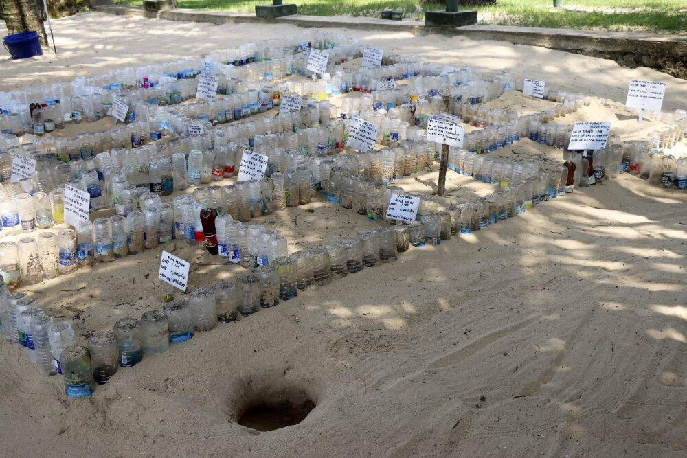 Черепаший инкубатор на берегу - Галина Ильясова